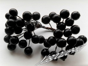 Калина глянцева ЧОРНА